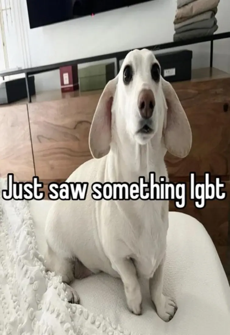 High Quality Just saw something lgbt Blank Meme Template