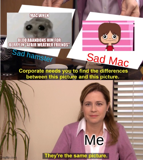 FHFIF meme: bro sad Mac looks like the Sad Hampter MEME | Sad hamster; Sad Mac; Me | image tagged in memes,they're the same picture | made w/ Imgflip meme maker