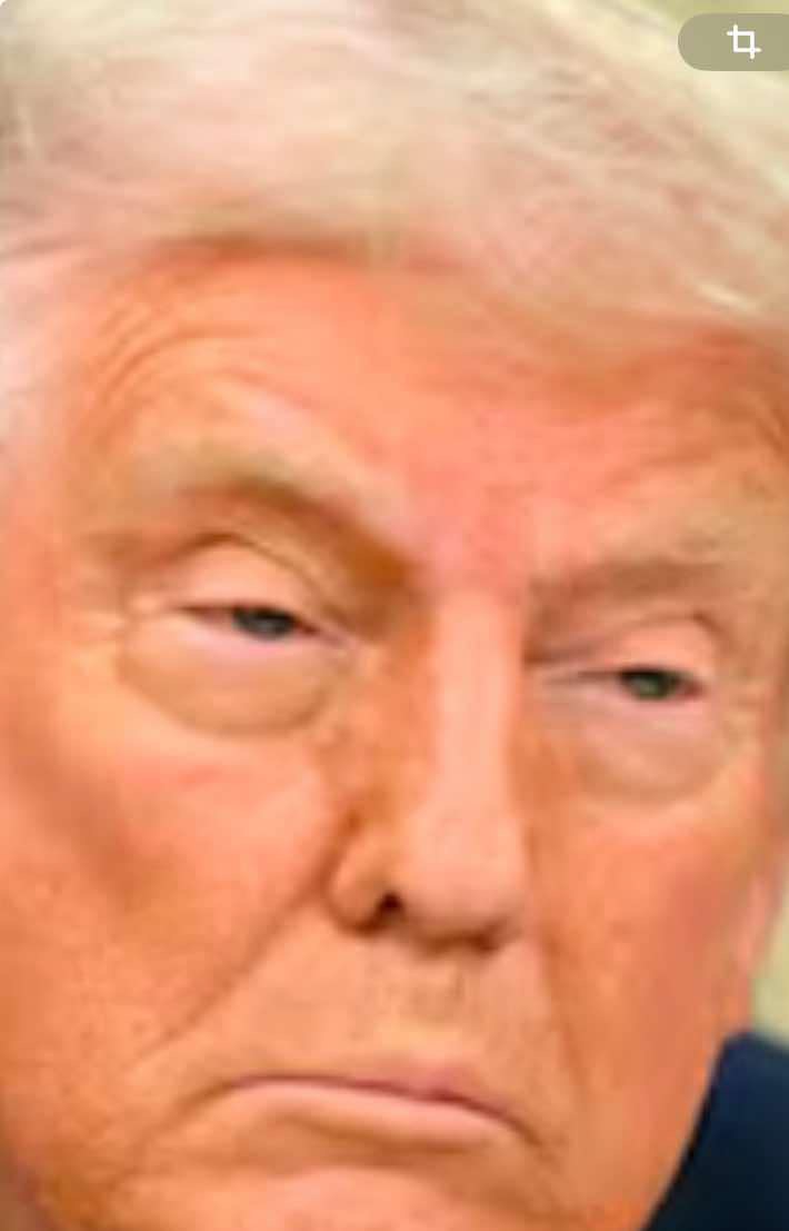 High Quality Trump stoned Blank Meme Template