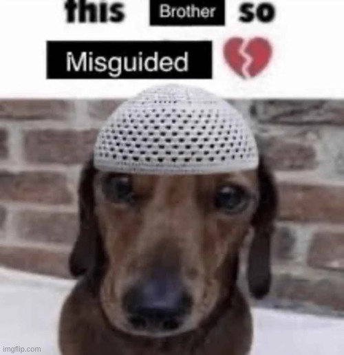 This brother so misguided | image tagged in this brother so misguided | made w/ Imgflip meme maker