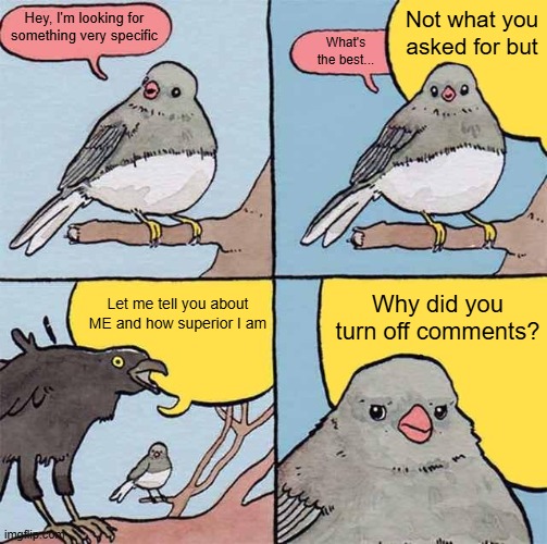 Annoying Crow | Not what you asked for but; Hey, I'm looking for something very specific; What's the best... Let me tell you about ME and how superior I am; Why did you turn off comments? | image tagged in annoying crow | made w/ Imgflip meme maker