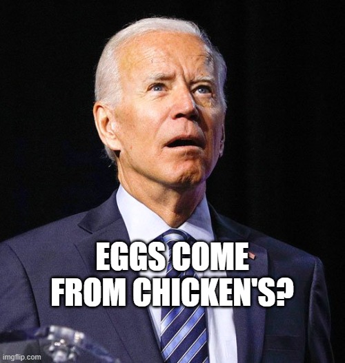 Joe Biden | EGGS COME FROM CHICKEN'S? | image tagged in joe biden | made w/ Imgflip meme maker