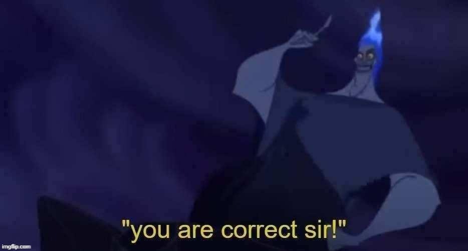 you are correct sir | image tagged in you are correct sir | made w/ Imgflip meme maker