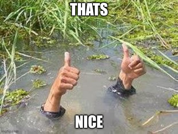 FLOODING THUMBS UP | THATS NICE | image tagged in flooding thumbs up | made w/ Imgflip meme maker