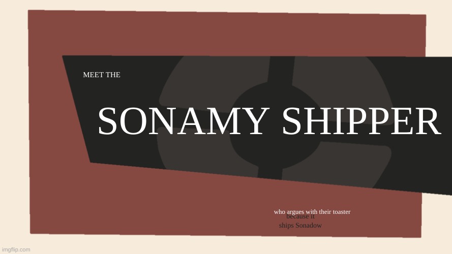 Damn, the results are schhockly good! | SONAMY SHIPPER; MEET THE; who argues with their toaster; because it ships Sonadow | image tagged in meet the blank,ai generated,sonamy | made w/ Imgflip meme maker