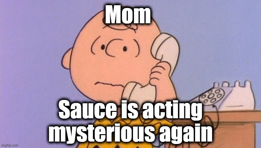 . | Mom; Sauce is acting mysterious again | image tagged in charlie brown complaining | made w/ Imgflip meme maker