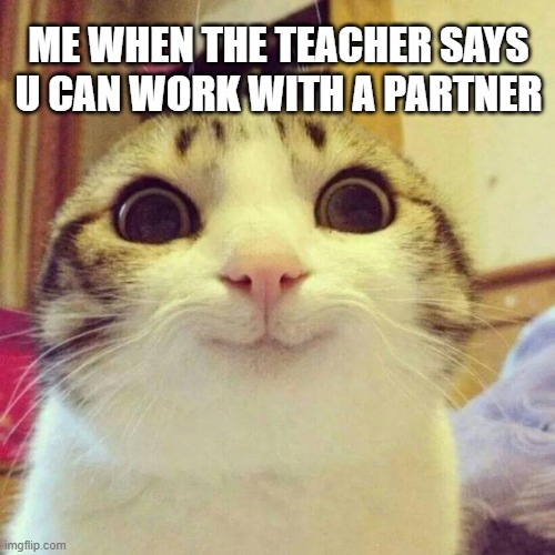 Smiling Cat Meme | ME WHEN THE TEACHER SAYS U CAN WORK WITH A PARTNER | image tagged in memes,smiling cat | made w/ Imgflip meme maker