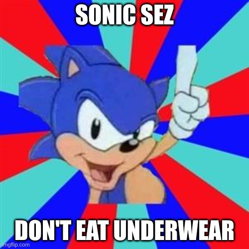 Sonic sez | SONIC SEZ; DON'T EAT UNDERWEAR | image tagged in sonic sez | made w/ Imgflip meme maker