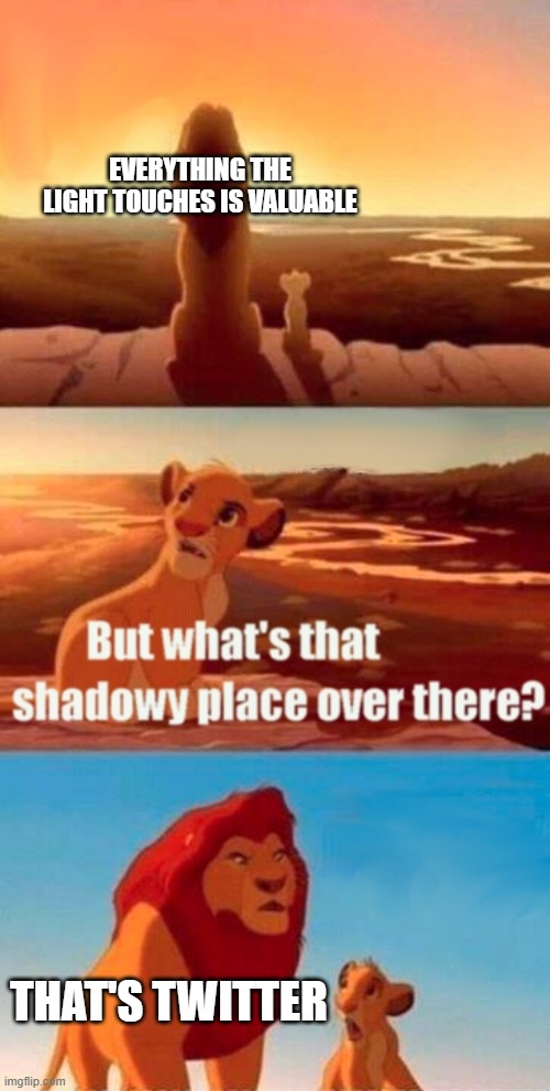 random | EVERYTHING THE LIGHT TOUCHES IS VALUABLE; THAT'S TWITTER | image tagged in memes,simba shadowy place | made w/ Imgflip meme maker