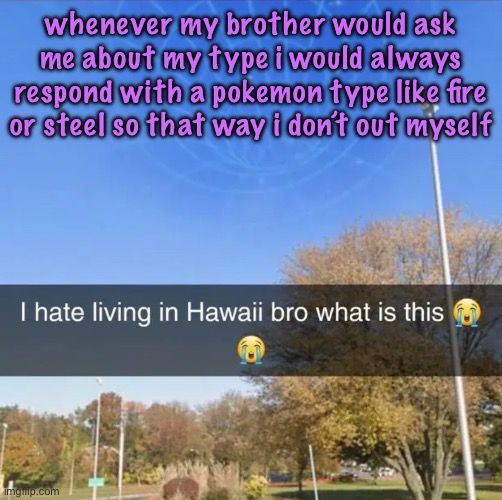 I hate living in Hawaii bro what is this | whenever my brother would ask me about my type i would always respond with a pokemon type like fire or steel so that way i don’t out myself | image tagged in i hate living in hawaii bro what is this,cinnabox announcement | made w/ Imgflip meme maker