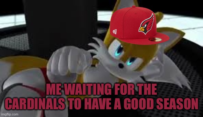 Me right now | ME WAITING FOR THE CARDINALS TO HAVE A GOOD SEASON | image tagged in bored tails,funny,memes,comedy,nfl,relatable | made w/ Imgflip meme maker