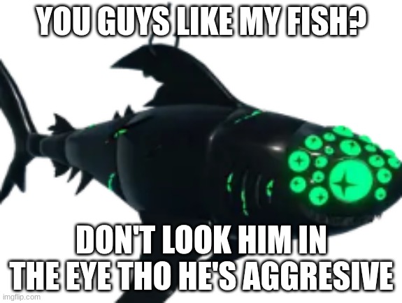 my new fish | YOU GUYS LIKE MY FISH? DON'T LOOK HIM IN THE EYE THO HE'S AGGRESIVE | image tagged in roblox,pressure,funny,memes | made w/ Imgflip meme maker