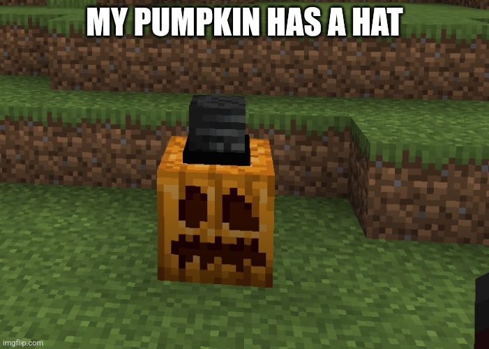 Hat | MY PUMPKIN HAS A HAT | image tagged in pumpkin | made w/ Imgflip meme maker