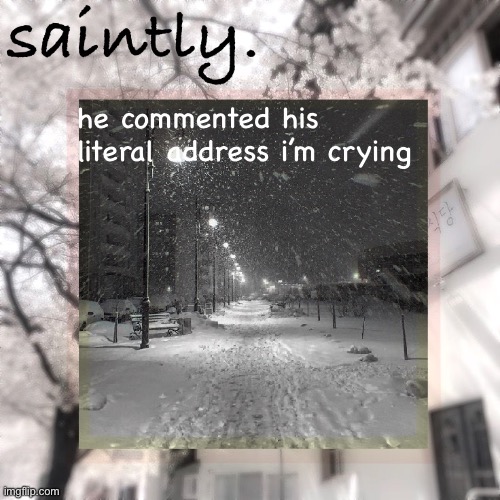 my template | he commented his literal address i’m crying | image tagged in my template | made w/ Imgflip meme maker