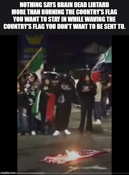 They are so dumb, it boggles the mind how they haven't walked into oncoming traffic yet. | NOTHING SAYS BRAIN DEAD LIBTARD MORE THAN BURNING THE COUNTRY'S FLAG YOU WANT TO STAY IN WHILE WAVING THE COUNTRY'S FLAG YOU DON'T WANT TO BE SENT TO. | image tagged in stupid liberals,mexican word of the day,dumbass,donald trump approves,funny memes,political humor | made w/ Imgflip meme maker