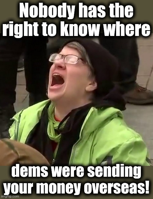 USAID | Nobody has the right to know where; dems were sending your money overseas! | image tagged in crying liberal,memes,usaid,democrats,corruption,tax dollars | made w/ Imgflip meme maker