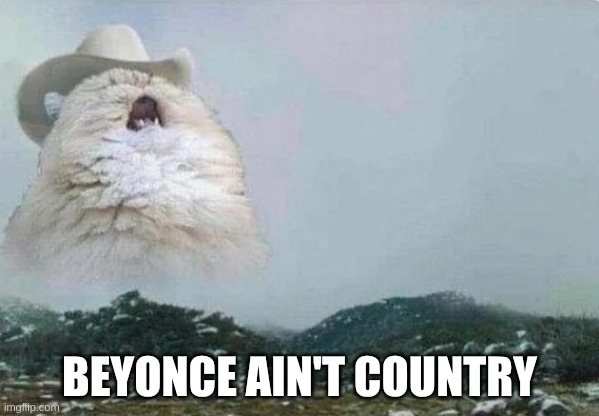 beyonce | BEYONCE AIN'T COUNTRY | image tagged in country cat | made w/ Imgflip meme maker