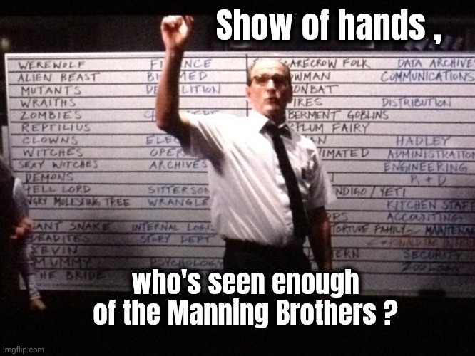 Rambling , Gambling Men | Show of hands , who's seen enough of the Manning Brothers ? | image tagged in who had x for y,x x everywhere,tv,streaming,hey i've seen this one,again and again and again | made w/ Imgflip meme maker