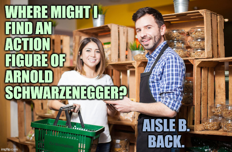 Nice store. Drive-thru coming soon. | WHERE MIGHT I
FIND AN
ACTION
FIGURE OF
ARNOLD
SCHWARZENEGGER? AISLE B.
BACK. DJ Anomalous | image tagged in clerk helps customer,arnold schwarzenegger,doll,customer service,bad pun,eyeroll | made w/ Imgflip meme maker