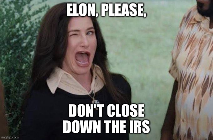 Agatha wink | ELON, PLEASE, DON’T CLOSE DOWN THE IRS | image tagged in agatha wink,irs,elon musk,politics,political meme | made w/ Imgflip meme maker