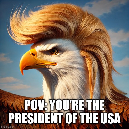 Trump eagle | POV: YOU’RE THE PRESIDENT OF THE USA | image tagged in trump eagle | made w/ Imgflip meme maker