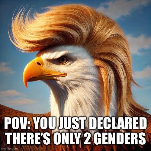 Trump eagle | POV: YOU JUST DECLARED THERE’S ONLY 2 GENDERS | image tagged in trump eagle | made w/ Imgflip meme maker