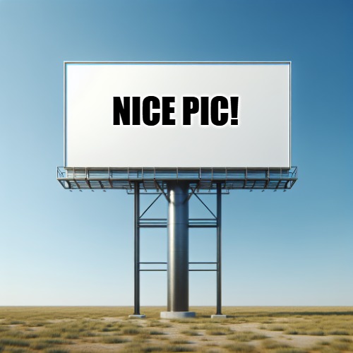 sign | NICE PIC! | image tagged in sign | made w/ Imgflip meme maker