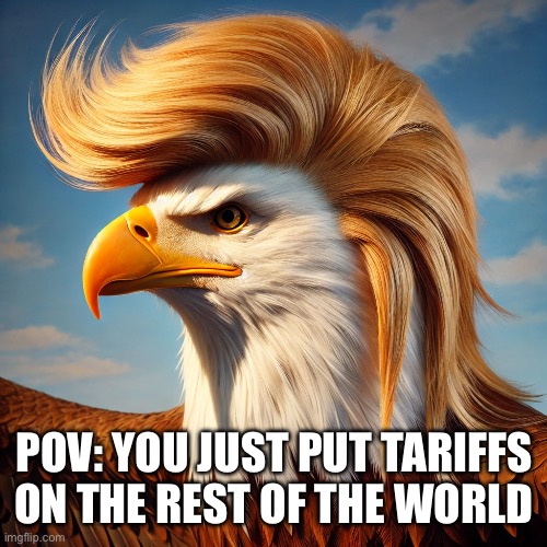 Trump eagle | POV: YOU JUST PUT TARIFFS ON THE REST OF THE WORLD | image tagged in trump eagle | made w/ Imgflip meme maker