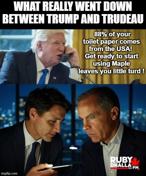 Trump Phone Call With Trudeau | 88% of your toilet paper comes from the USA!  Get ready to start using Maple leaves you little turd ! | image tagged in trump phone call with trudeau | made w/ Imgflip meme maker