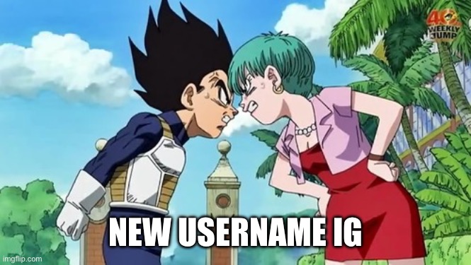 I dunno | NEW USERNAME IG | image tagged in vegeta bulma | made w/ Imgflip meme maker