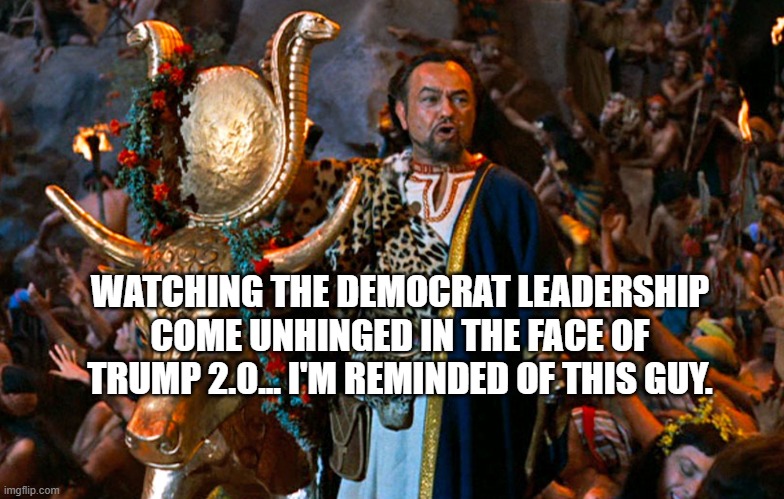 Dathan Trump | WATCHING THE DEMOCRAT LEADERSHIP COME UNHINGED IN THE FACE OF TRUMP 2.0... I'M REMINDED OF THIS GUY. | made w/ Imgflip meme maker