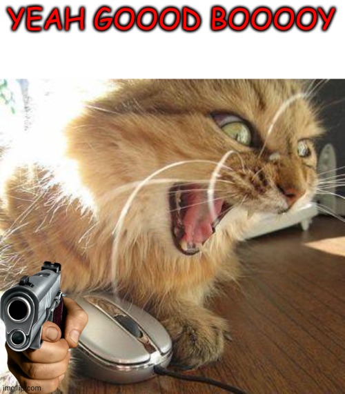 angry cat | YEAH GOOOD BOOOOY | image tagged in angry cat | made w/ Imgflip meme maker