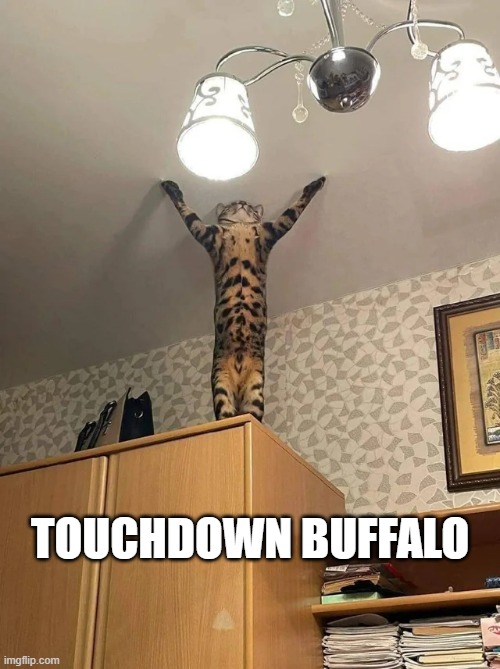 memes by Brad - Cat says "Touchdown Bills."  - Super Bowl - | TOUCHDOWN BUFFALO | image tagged in funny,cats,kittens,super bowl,buffalo bills,nfl football | made w/ Imgflip meme maker