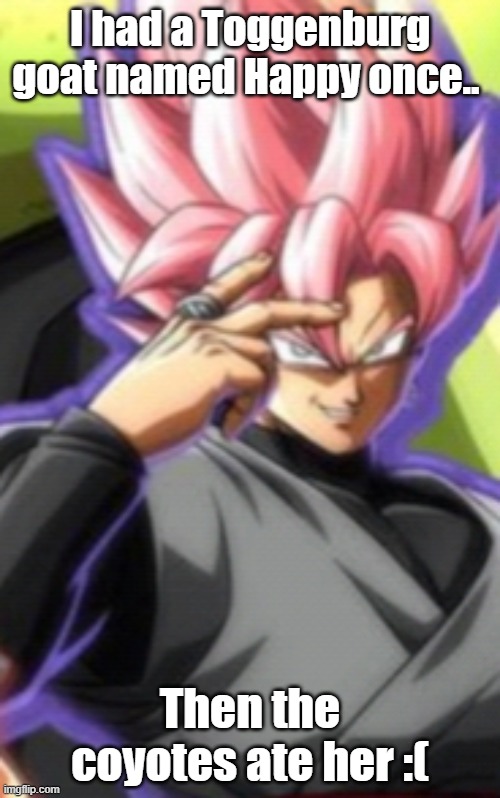 Smart goku black | I had a Toggenburg goat named Happy once.. Then the coyotes ate her :( | image tagged in smart goku black | made w/ Imgflip meme maker