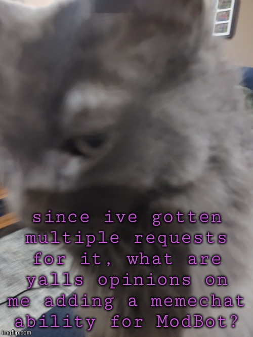 32's Cat | since ive gotten multiple requests for it, what are yalls opinions on me adding a memechat ability for ModBot? | image tagged in 32's cat | made w/ Imgflip meme maker