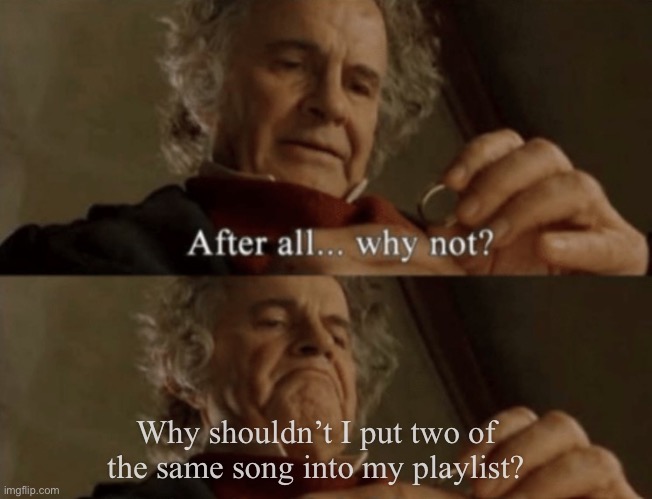 After all.. why not? | Why shouldn’t I put two of the same song into my playlist? | image tagged in after all why not | made w/ Imgflip meme maker