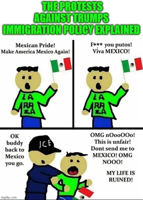 Illegals protesting | THE PROTESTS AGAINST TRUMPS IMMIGRATION POLICY EXPLAINED | image tagged in illegals protesting,bye bye | made w/ Imgflip meme maker