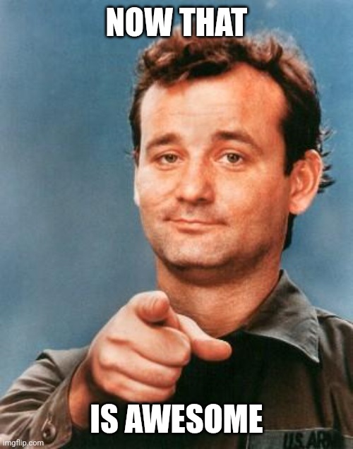 Bill Murray You're Awesome | NOW THAT IS AWESOME | image tagged in bill murray you're awesome | made w/ Imgflip meme maker