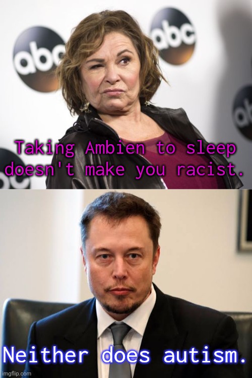 Taking responsibility for their actions is out of the question. | Taking Ambien to sleep doesn't make you racist. Neither does autism. | image tagged in roseanne barr,elon not slept,excuses,blame | made w/ Imgflip meme maker