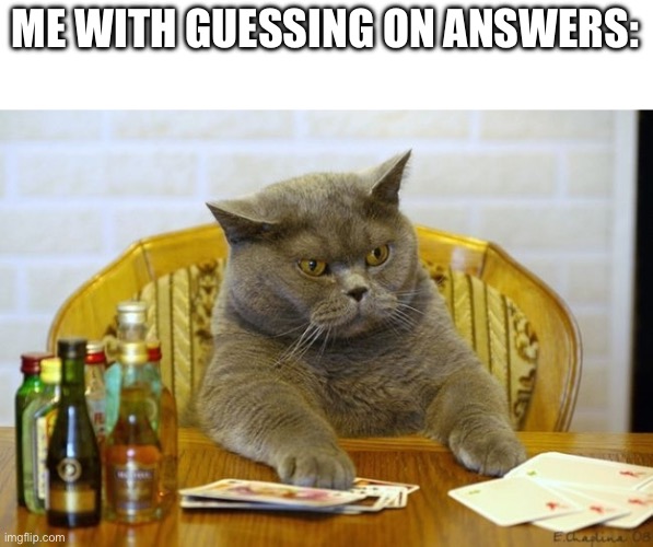 Gambling Sad Cat | ME WITH GUESSING ON ANSWERS: | image tagged in gambling sad cat | made w/ Imgflip meme maker