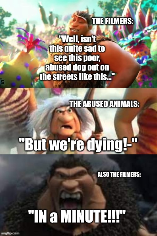 It came from the comments section... | THE FILMERS:; "Well, isn't this quite sad to see this poor, abused dog out on the streets like this…"; THE ABUSED ANIMALS:; "But we're dying!-"; ALSO THE FILMERS:; "IN a MINUTE!!!" | image tagged in croods hungry,no context,it came from the comments | made w/ Imgflip meme maker