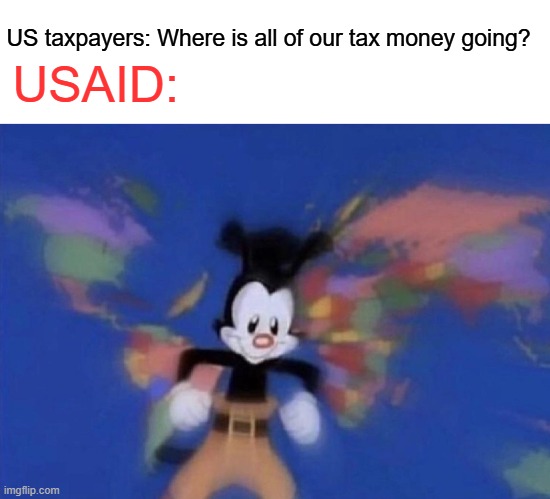 USAID:; US taxpayers: Where is all of our tax money going? | image tagged in memes,taxes,us government,foreign policy,money,animaniacs | made w/ Imgflip meme maker