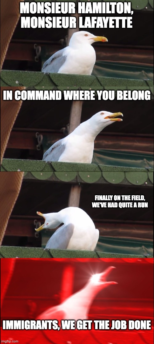hamilton seagull :) | MONSIEUR HAMILTON,
MONSIEUR LAFAYETTE; IN COMMAND WHERE YOU BELONG; FINALLY ON THE FIELD, WE'VE HAD QUITE A RUN; IMMIGRANTS, WE GET THE JOB DONE | image tagged in memes,inhaling seagull | made w/ Imgflip meme maker