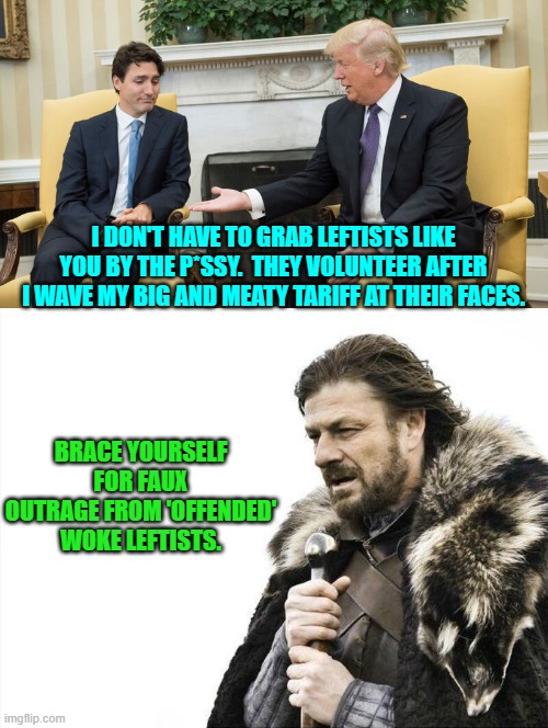 Enjoy leftists. | I DON'T HAVE TO GRAB LEFTISTS LIKE YOU BY THE P*SSY.  THEY VOLUNTEER AFTER I WAVE MY BIG AND MEATY TARIFF AT THEIR FACES. BRACE YOURSELF FOR FAUX OUTRAGE FROM 'OFFENDED' WOKE LEFTISTS. | image tagged in brace yourselves x is coming | made w/ Imgflip meme maker