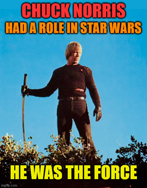 Every now and then it's Chuck Norris time. EVERY SINGLE now and then! | CHUCK NORRIS; HAD A ROLE IN STAR WARS; HE WAS THE FORCE | image tagged in chuck norris samurai sword,star wars,chuck norris,the force,unstoppable,repost | made w/ Imgflip meme maker