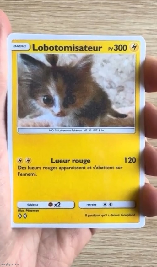 New cards just dropped | made w/ Imgflip meme maker