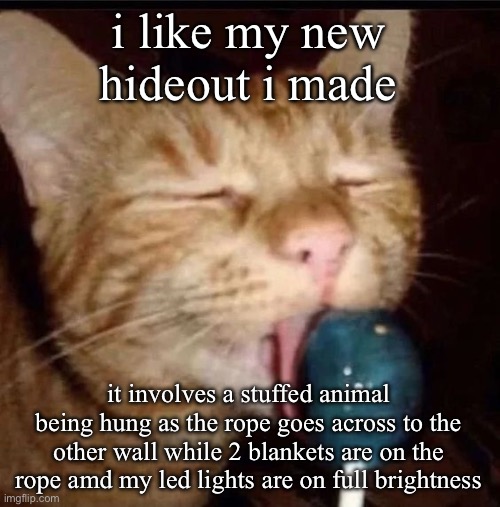 silly goober 2 | i like my new hideout i made; it involves a stuffed animal being hung as the rope goes across to the other wall while 2 blankets are on the rope amd my led lights are on full brightness | image tagged in silly goober 2 | made w/ Imgflip meme maker