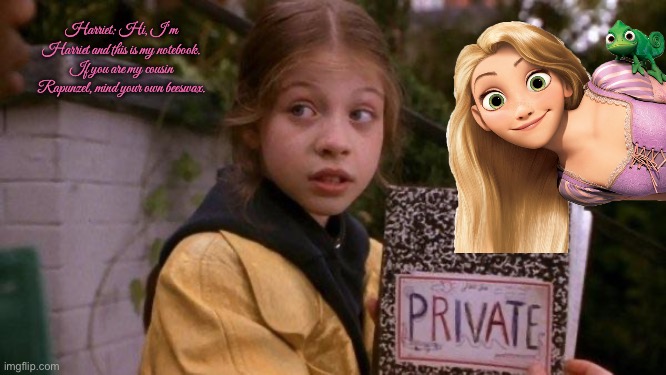 Harriet's Notebook | Harriet: Hi, I’m Harriet and this is my notebook. If you are my cousin Rapunzel, mind your own beeswax. | image tagged in tangled,disney,disney plus,disney princess,paramount,nickelodeon | made w/ Imgflip meme maker