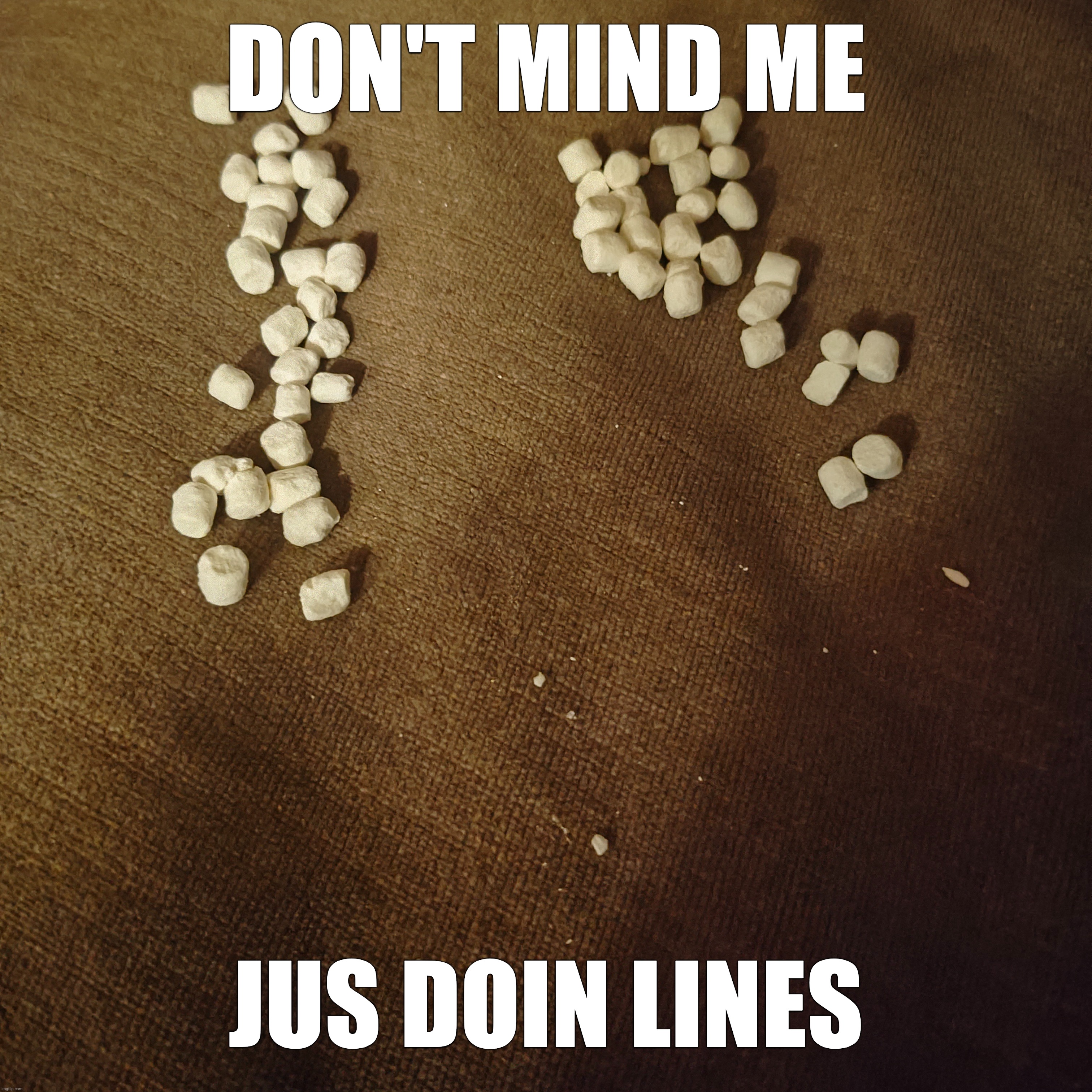 DON'T MIND ME; JUS DOIN LINES | made w/ Imgflip meme maker