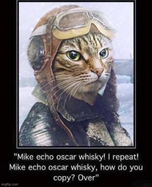 Ground Control to Maj. Tomcat | image tagged in vince vance,cats,pilots,meow,funny cat memes,alphabet | made w/ Imgflip meme maker